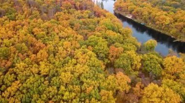 Sonbahar insansız hava aracı nehir kenarındaki renkli sarı ormanı görüyor. Kazak dağı, Korobovy Hutora (Koropove köyü) Siverskyi Donets Nehri, Ukrayna