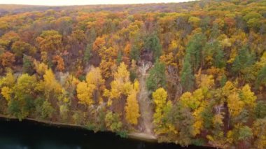 Nehrin yukarısında ağaçlık orman nehir kıyılarıyla sonbahar hava aracı manzarası var. Kazak dağı, Korobovy Hutora (Koropove köyü) Siverskyi Donets Nehri, Ukrayna
