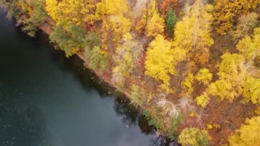 Nehrin üzerinde renkli orman nehir kıyılarıyla sonbahar havası manzarası. Kazak dağı, Korobovy Hutora (Koropove köyü) Siverskyi Donets Nehri, Ukrayna
