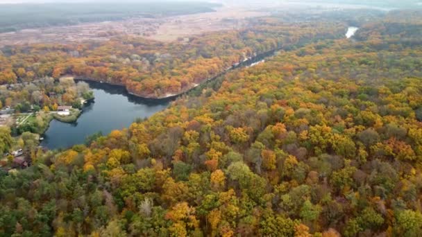 川沿いの風光明媚な森と川の上を飛行する秋の空中飛行 ウクライナのSiverskyiドネツ川のコロポーヴ村近くのコサック山 — ストック動画