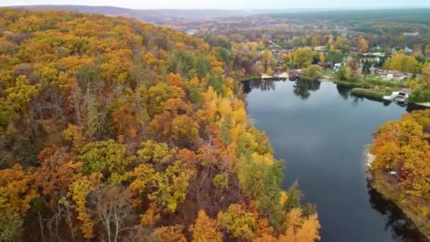 Autumn Aerial Drone Arc Flight Colorful Golden Forest River Cossack — Stock Video