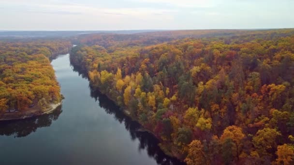 Hösten Antenn Drönare Framåt Flygning Över Floden Med Skogs Flodstränder — Stockvideo