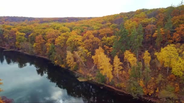 Outono Aéreo Drone Arco Voo Acima Rio Com Margens Lenhosas — Vídeo de Stock