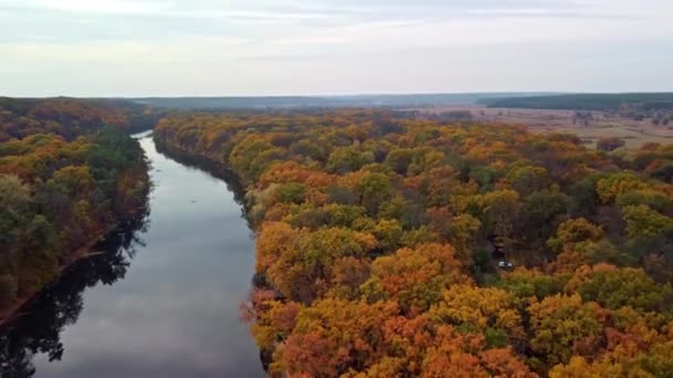 Höstens Flyg Påskyndar Flygningen Över Floden Med Levande Skog Flodstränderna — Stockvideo