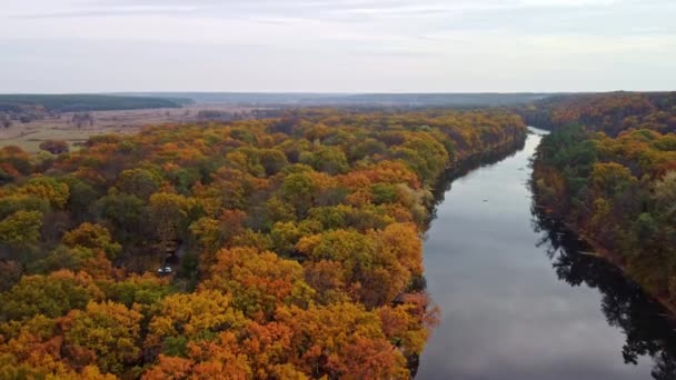 Nehrin Yukarısında Nehir Kıyısında Renkli Ormanlarla Sonbahar Havası Uçuşu Kazak — Stok video
