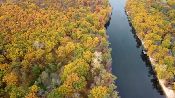 Autumn Aerial Tilt View River Wooded Colorful Forest Riverbanks Sungai — Stok Video