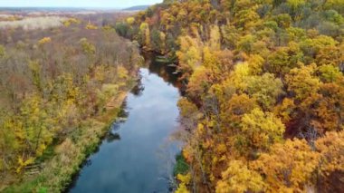 Sonbahar insansız hava aracı nehrin üzerinde altın orman nehir kıyılarıyla uçuyor. Ukrayna 'da aynalı sakin suyu olan Siverskyi Donets Nehri
