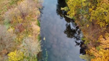 Sonbahar hava aracı nehir kıyısında renkli ağaçlarla nehre bakıyor. Ukrayna 'daki Siverskyi Donets Nehri