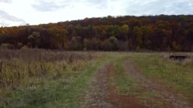 Sonbahar insansız hava aracı nehir üzerinde toprak yol ve renkli nehir kıyılarıyla havalanır. Ukrayna 'daki Siverskyi Donets Nehri