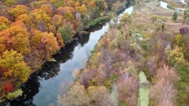 Nehirde sonbahar hava aracı manzarası sakin su nehir kıyısında renkli ağaçlar.