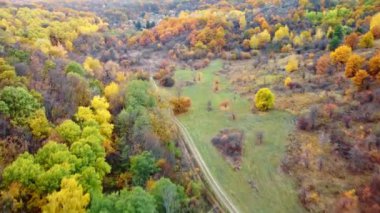Renkli ormanlardaki toprak kırsal yolda sonbahar havası. Sonbahar ağaçlarının üzerinde uçuyor.