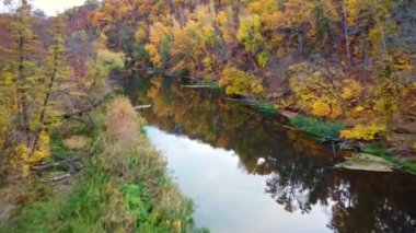 Nehrin yukarısında sonbahar havası ve sonbahar orman nehir kıyıları. Siverskyi Donets Nehri Ukrayna 'nın sakin sularıyla