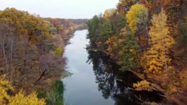 Nehrin yukarısında, altın sonbahar ormanı nehir kıyıları olan havadan ileri görüş. Siverskyi Donets nehrinde sonbahar Ukrayna 'da sakin sularla