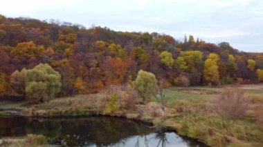 Sonbahar havası nehrin üzerinde altın sonbahar ormanı nehir kıyılarıyla birlikte. Akşam nehir vadisinde İHA uçurmak