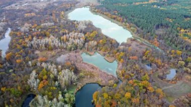 Nehir kıyısında renkli ağaçlar olan nehir vadisine sonbahar havası bakıyor. Daha sakin mavi su yüzeyi olan sonbahar doğası