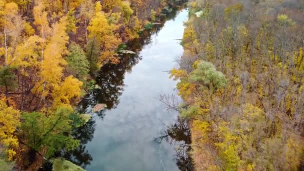 Autumn Εναέρια Drone Ματιά Κάτω Στο Ποτάμι Πολύχρωμα Δέντρα Στις — Αρχείο Βίντεο