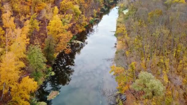 秋天的空中低空飞行 带着金黄的秋天的森林河岸 Siverskyi Donets River Calm Water Ukraine — 图库视频影像