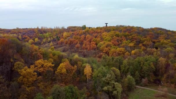 Vzdušná Panenka Podzimním Barevném Lese Výhled Anténu Rádiového Dalekohledu Létání — Stock video
