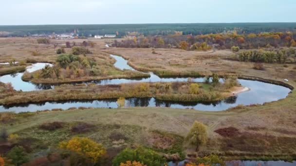 Luftflug Über Der Flusskurve Herbsttal Mit Schilf Bäumen Feldweg Der — Stockvideo