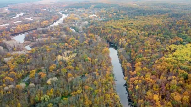 Autumn Aerial Penerbangan Mundur Atas Sungai Dengan Warna Warni Hutan — Stok Video