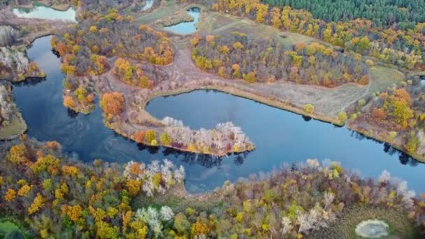 Podzimní Letecký Pohled Dolů Údolí Řeky Živými Stromy Březích Řeky — Stock video
