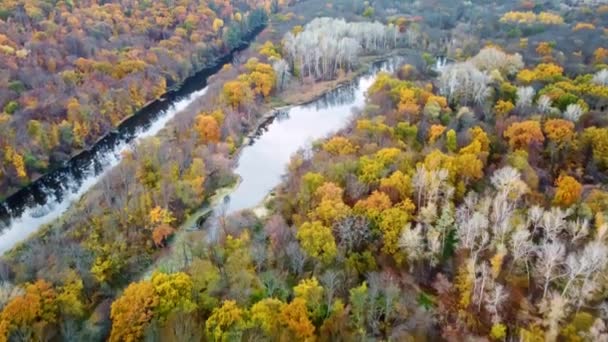 Sonbahar Uçuşu Nehir Kıyısındaki Renkli Ormanın Manzarasını Yükseltir Kazak Dağı — Stok video
