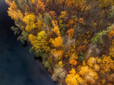 Sonbahar hava aracı nehir kıyısında renkli altın ağaçlarla nehre bakıyor. Ukrayna 'da sonbahar nehri