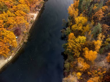 Sonbahar hava aracı nehir kıyısında renkli altın ağaçlarla nehre bakıyor. Ukrayna 'daki Siverskyi Donets Nehri sonbahar enerjisi