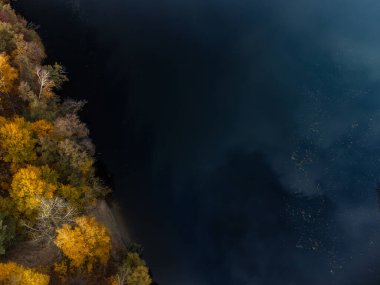 Sonbahar hava aracı nehir kıyısında altın ağaçlarla birlikte nehre bakıyor. Sonbahar enerjili Ukrayna