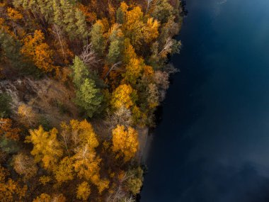 Sonbahar hava aracı nehir kıyısında renkli altın ağaçlarla nehre bakıyor. Sonbahar dalgalı nehir kenarı