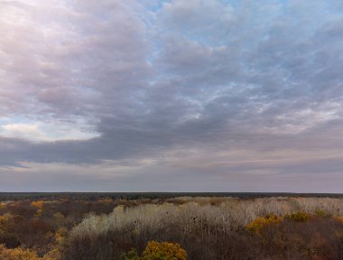 Efsanevi mavi bulutları olan sonbahar ormanı. Sonbahar doğa manzarası