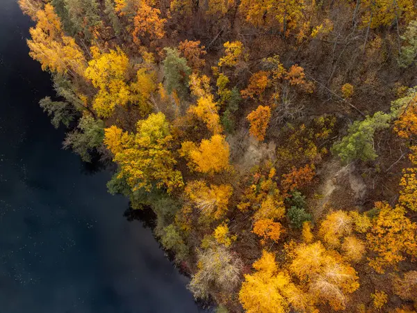 Sonbahar hava aracı nehir kıyısında renkli altın ağaçlarla nehre bakıyor. Ukrayna 'da sonbahar nehri