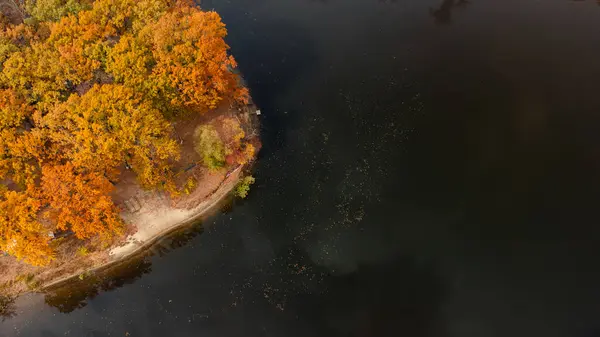 Aerial look down view on dark river water with colorful autumn trees on riverbanks