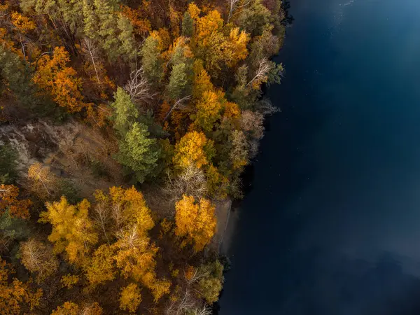 Sonbahar hava aracı nehir kıyısında renkli altın ağaçlarla nehre bakıyor. Sonbahar dalgalı nehir kenarı