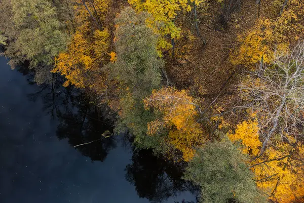 Sonbahar hava aracı nehir kıyısında renkli ağaçlarla nehre bakıyor. Ukrayna 'da sonbahar nehir manzarası