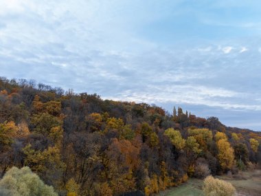 Ukrayna 'da sonbahar renkli orman manzarası Bulutlu mavi gökyüzü