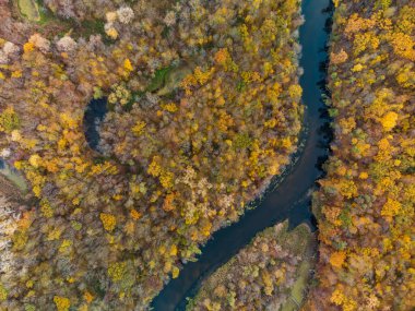 Sonbahar havası nehir eğrisine renkli ormanlık nehir kıyılarıyla bakıyor