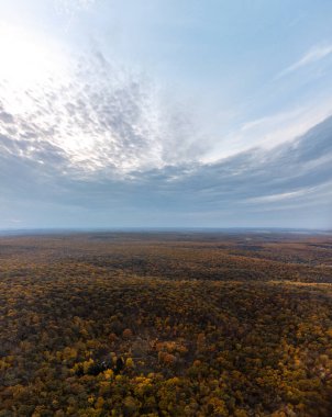 Sonbahar renkli ağaçlar tepelerdeki orman manzaralı gökyüzü manzaralı hava manzarası