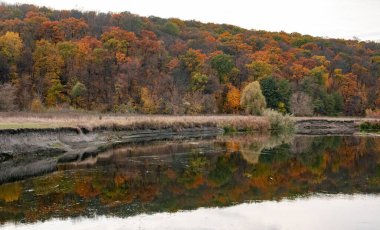 Sonbahar nehri, nehir kıyısında renkli ağaçlarla ve bulutların yansımalarıyla döner. Ukrayna 'da Sonbahar Siverskyi Donets Nehri