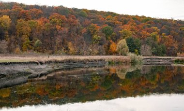 Autumn river turn with colorful trees on riverbanks and clouds reflections. Autumnal Siverskyi Donets River in Ukraine clipart