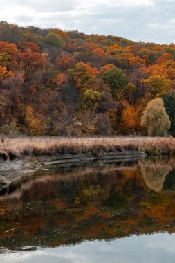 Ağaç Yansımalı Autumn Riverside. Ukrayna 'da Sonbahar Siverskyi Donets Nehri