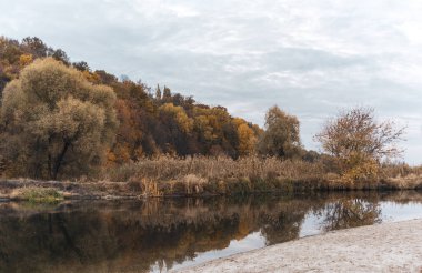 Orman, bulutlu gökyüzü ve sakin su yüzeyine yansıyan ayna ile kumlu nehir kıyısında sonbahar doğası