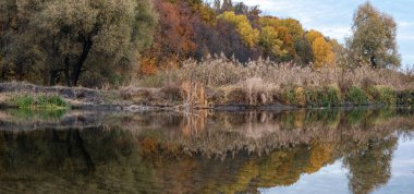 Nehir kıyısında yansıyan aynaya benzeyen canlı sonbahar manzarası.