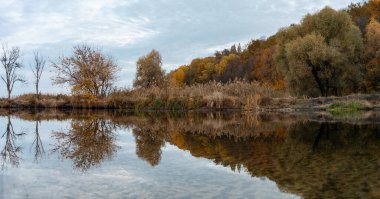 Ukrayna 'da sonbahar ormanı ve bulutlu gökyüzü aynaya yansıyan sakin su yüzeyi