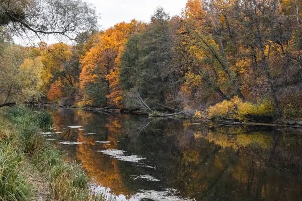 stock image Scenic colorful autumn trees and green grass reflecting in water of the Siverskyi Donets River