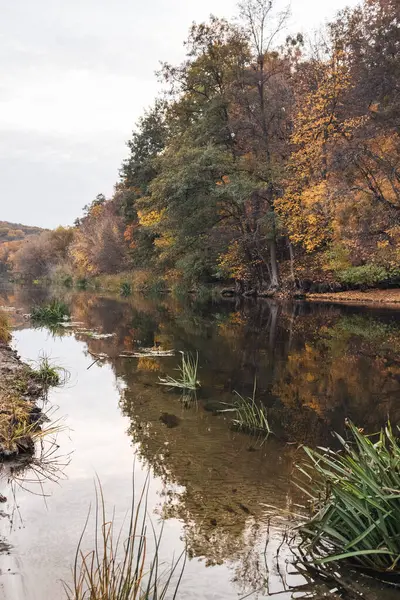 stock image Wild nature river scenery with forest and green grass on autumnal riverbanks