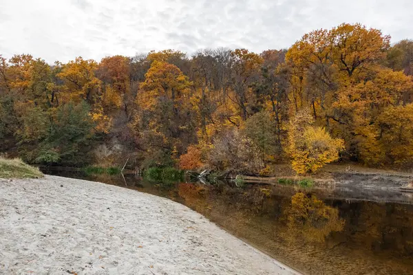 stock image Autumn golden nature by sandy river with mirror reflection on calm water surface