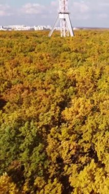 Gökyüzü yüksek TV kulesi dikey görüntüyü altın yapraklı ve mavi gökyüzü manzaralı renkli bir sonbahar ormanının üzerine çekiyor.