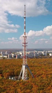 Kharkiv şehrinde altın sonbahar ormanı ve manzaralı mavi gökyüzü anten görüntüsü