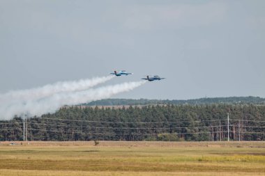 Aero L-29 Delfn jet uçakları havacılık şovu alanında kalkışa hazırdır.